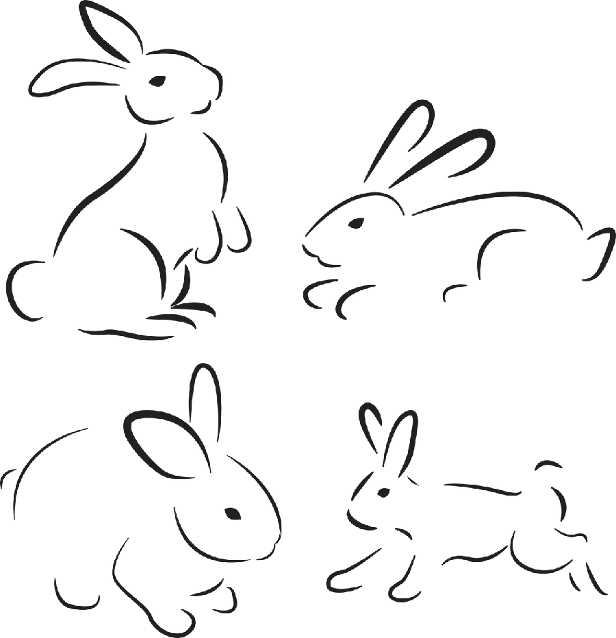 High-quality photo of rabbit painting in different PNG modes