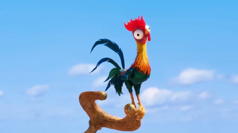 Funny and funny rooster picture in animation