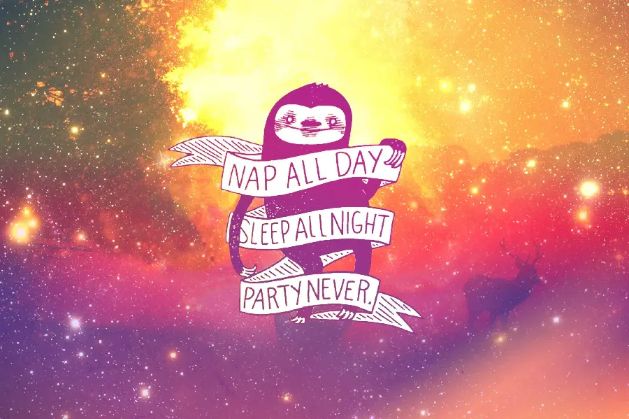 Cartoon photo of sloth with interesting text Nap all day Sleep all night PARTY never