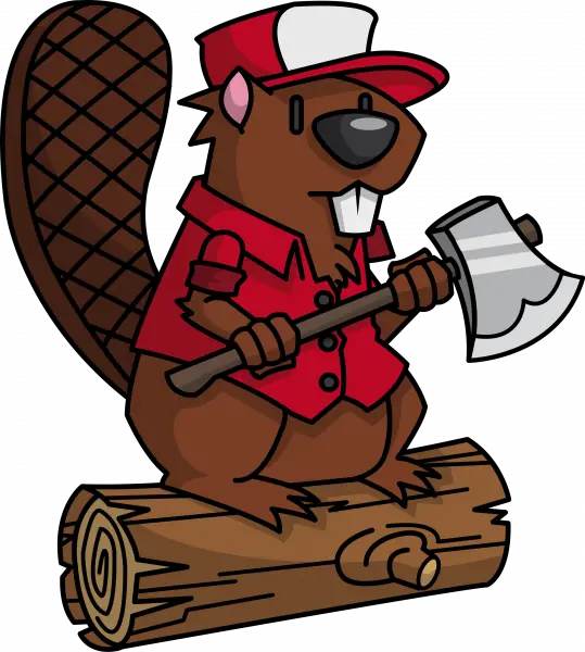 Beaver cut out PNG image