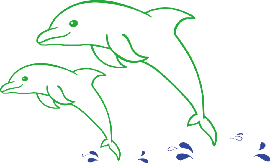 Free Download Dolphin Transparent Images