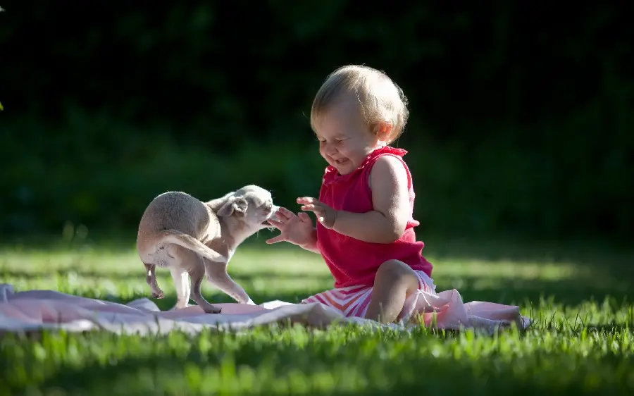Most viewed background photo of a human child with a pet dog