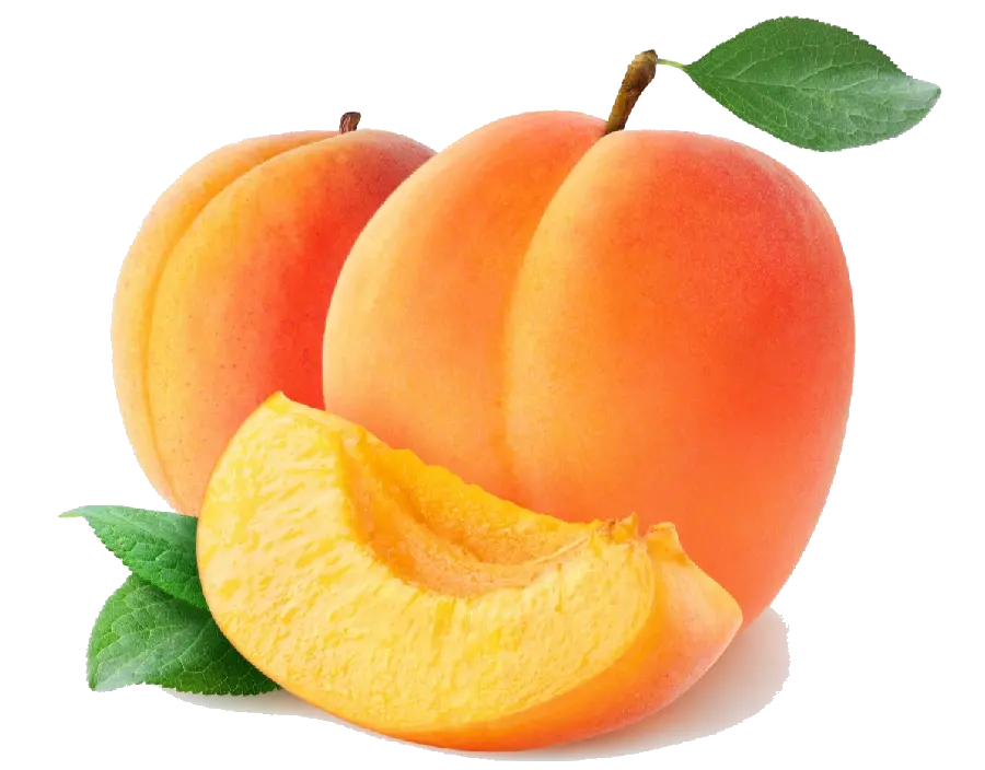 High quality Apricot PNG images for graphic designs