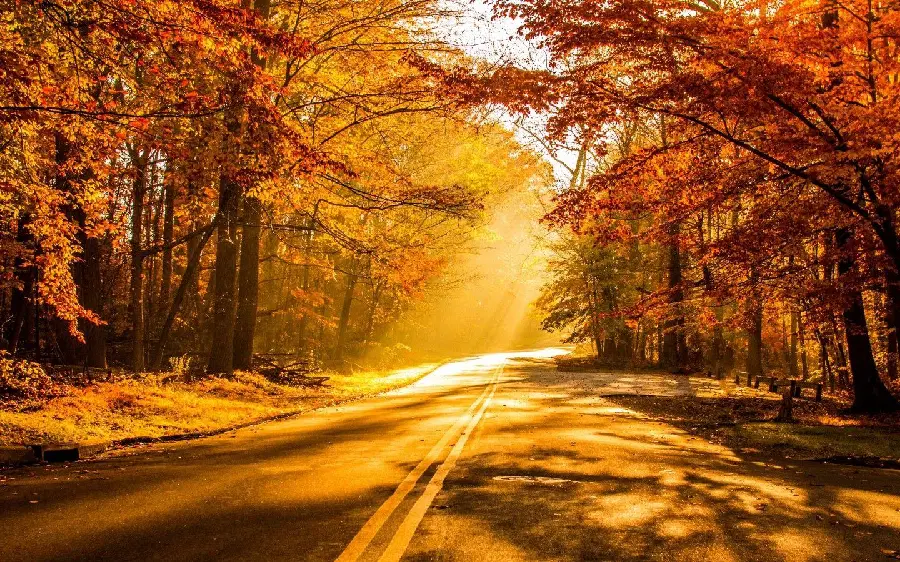 Warm colors of autumn