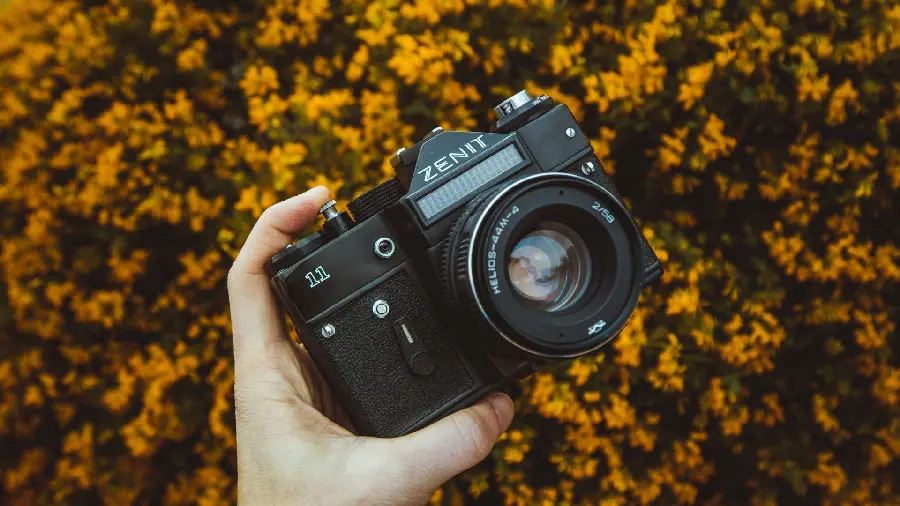 Free Download of Small and Light Camera Profile Photos