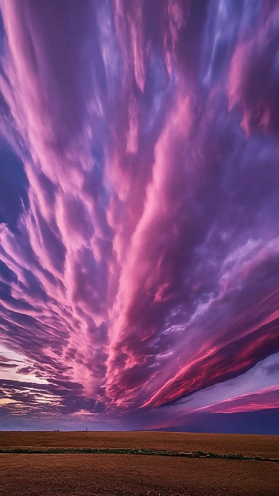 Purple Landscape Image for Samsung Galaxy A55 Mobile Phone