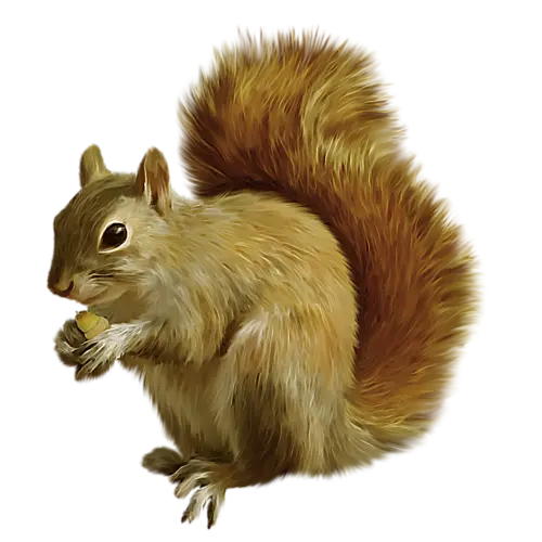 A picture of a cute little squirrel hiding food