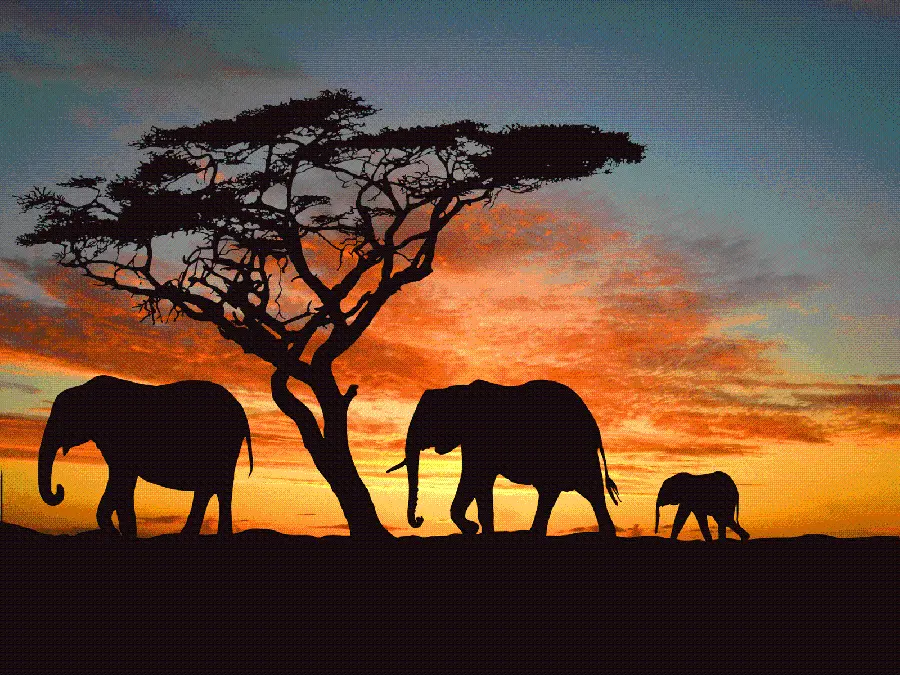 Download beautiful and spectacular nature wallpaper and mobile background images 
