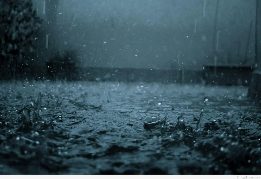 A beautiful picture of rain falling on the earth, suitable for wallpaper and profile