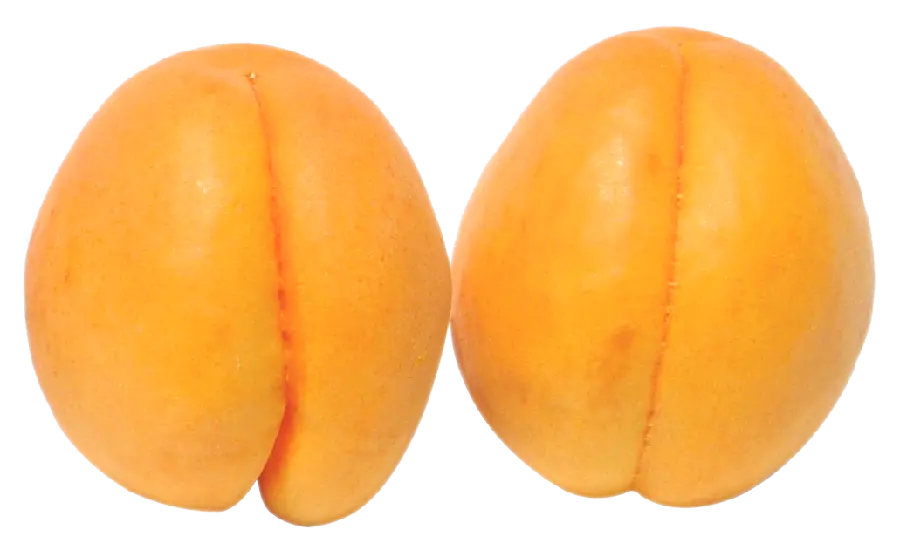 Yellow Plum