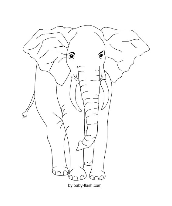 Download Cartoon Elephant Image Without Background for Printing