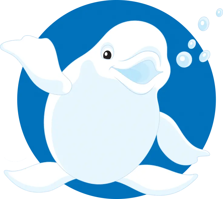 Dolphin PNG Images for Advertising Work