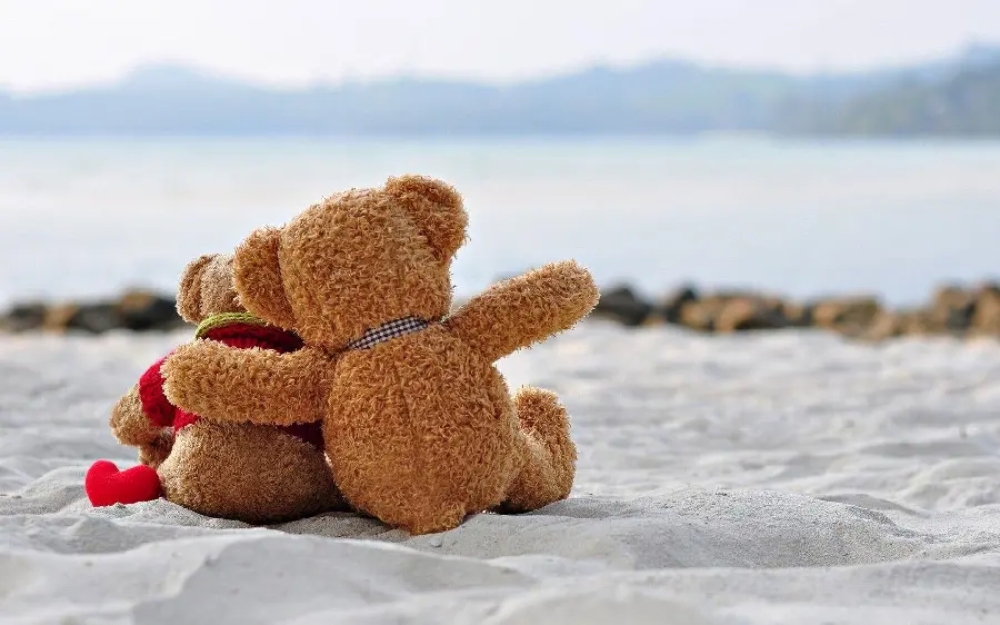 Cute Anime Lover Bears Profile Picture for Couple Set