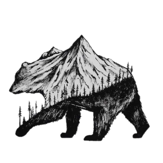Photo of a bear painting with an artistic and interesting design PNG