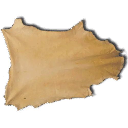 High Quality Image of Bear Skin for Design PNG