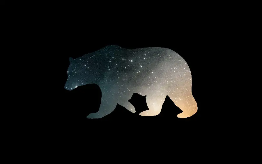 Creative and attractive bear design background HD
