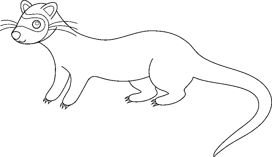 Otter stock photo for printing in children's coloring book PNG