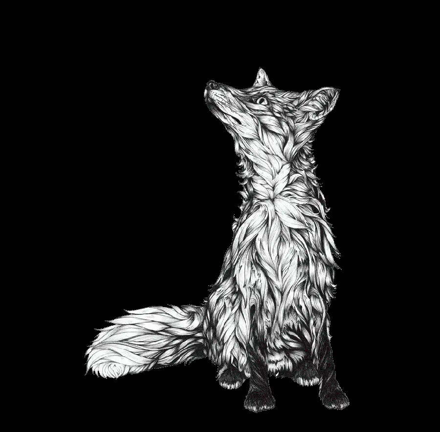 Highest quality PNG background image with attractive black and white fox painting design