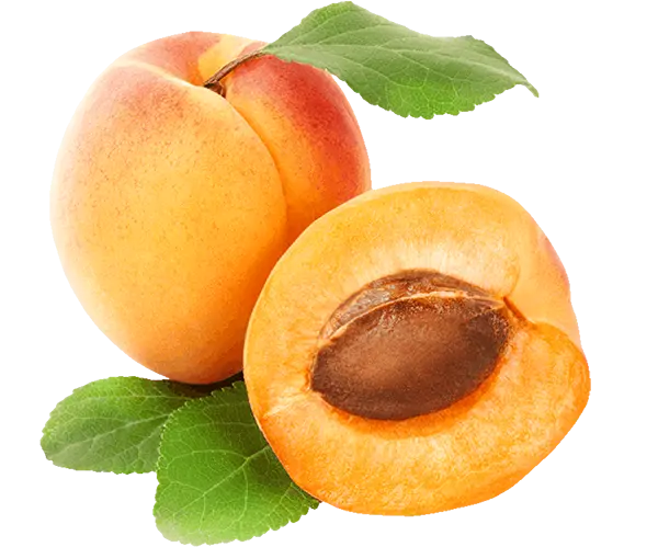 Download High Quality Apricot PNG Images for Professional Designs and Projects