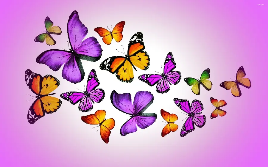 Amazing Profile Picture of Colorful and Beautiful Purple Butterflies