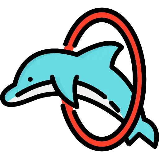 Transparent Dolphin PNG For designing beautiful and professional logos