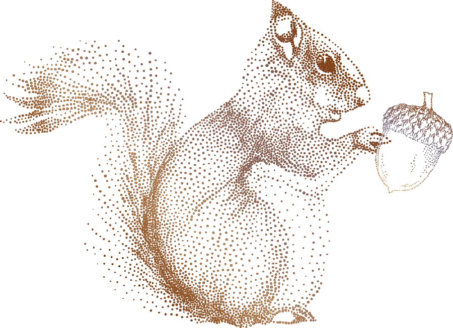 Download mobile wallpaper image of a vague drawing of an oak squirrel by hand