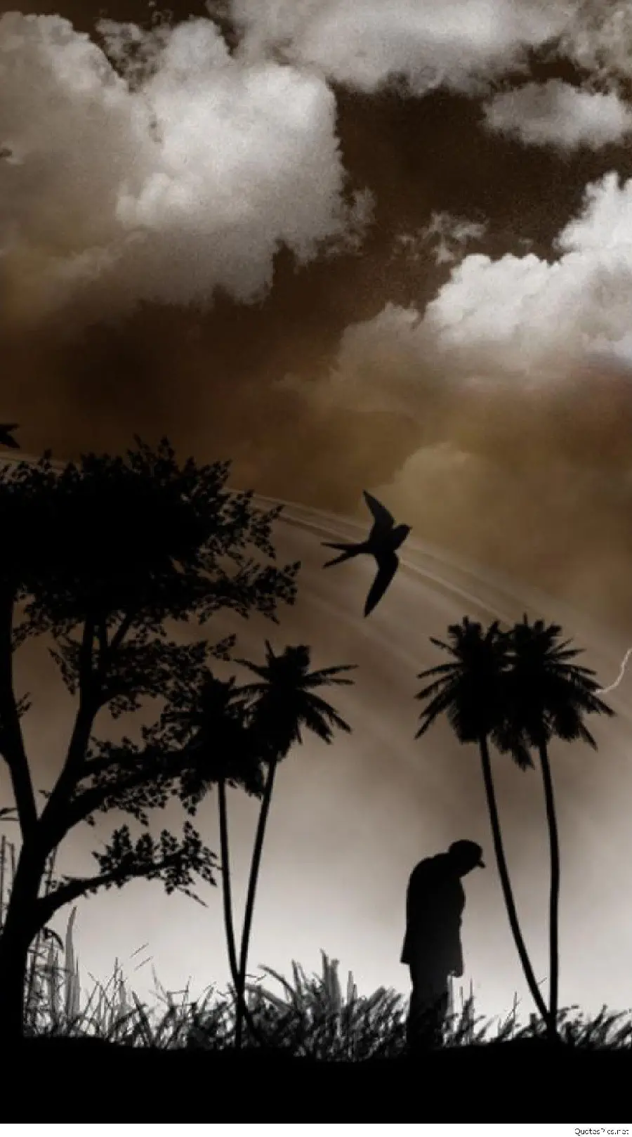 Sad image of a forest immersed in the darkness of the night suitable for wallpaper
