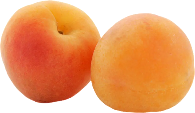 Yellow Plum