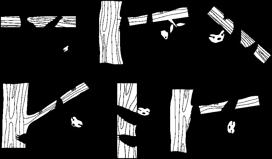 Black and white sloth PNG stock photo without background 