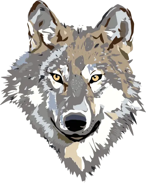 Free Ghost Wolf Wallpaper png for Tattoo Ideas
