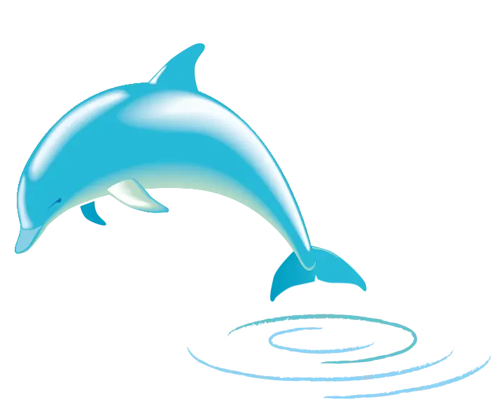 Dolphin image without background