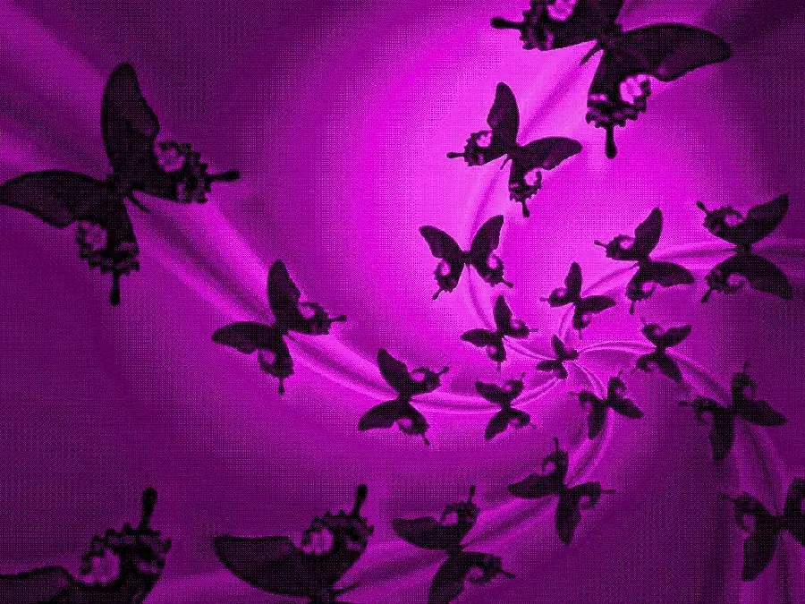 Free download of amazing black butterflies on a purple background