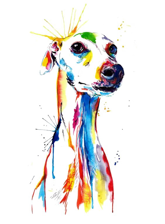 Wallpaper of watercolor painting of a dog on a bright background and Direct link 