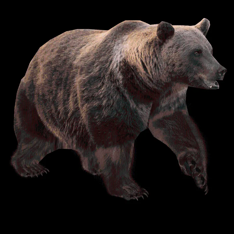 Download Profile Picture for Cyberspace from Bear PNG