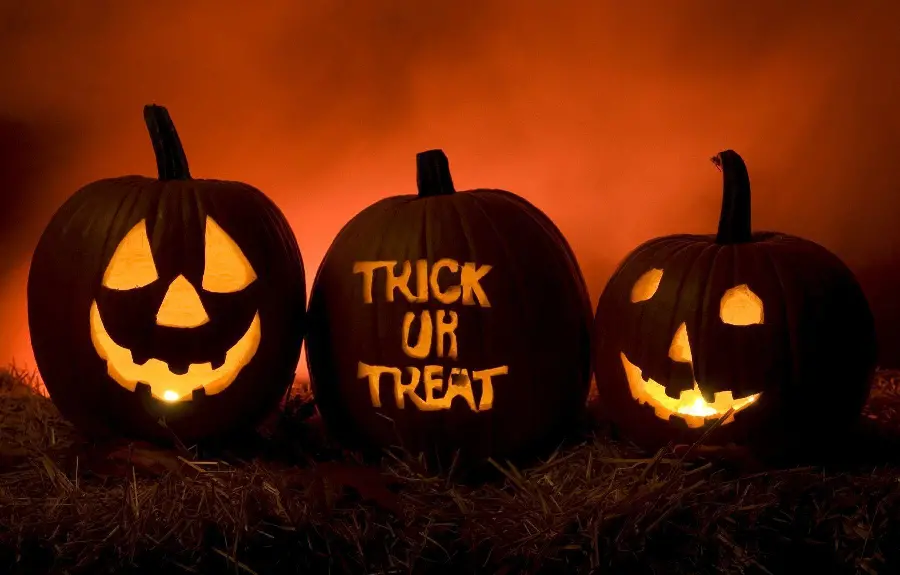 Halloween Pumpkin Painting