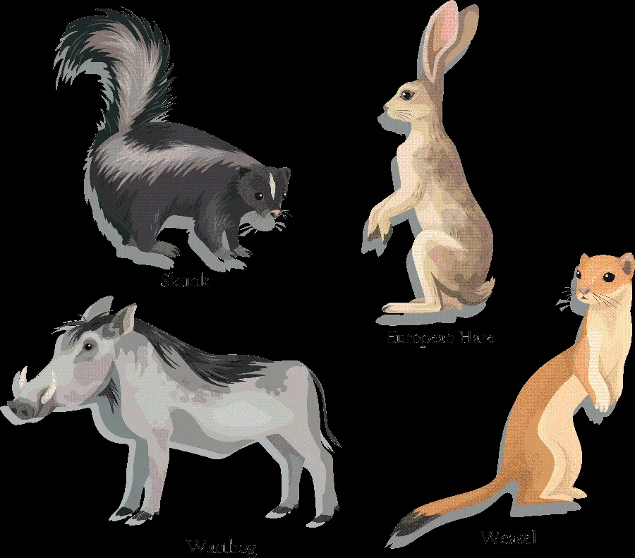 Otter PNG wallpaper with other animals for children's educational book