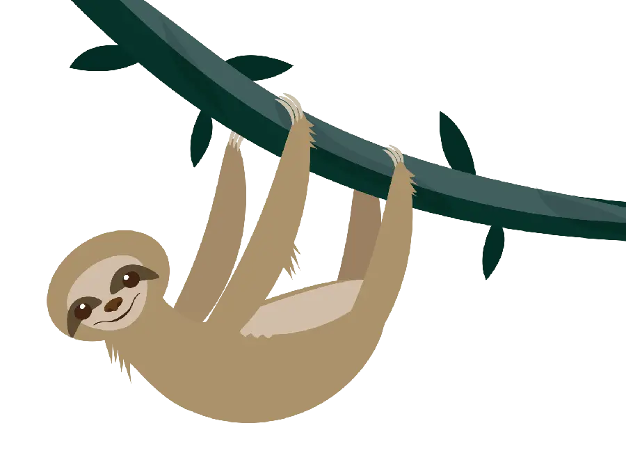Girly profile picture of sloth on tree branch PNG