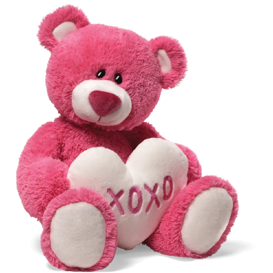 The most beautiful background photo of teddy bear in the form of PNG teleportation