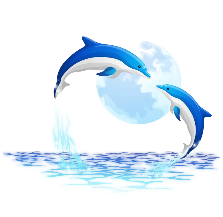 Dolphin