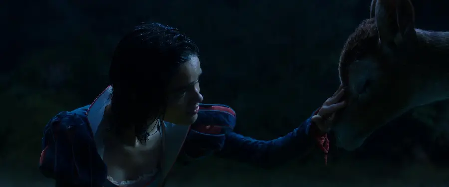 Download New Snow White Photos