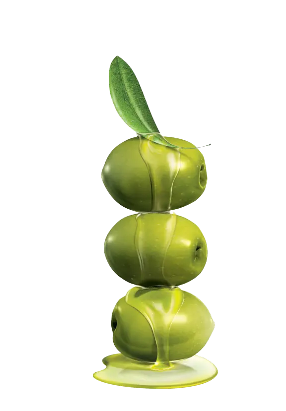 Free Download Olive PNG Image High Quality