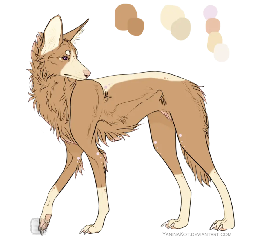 Jackal Background Image for Graphic Designers in PNG Format