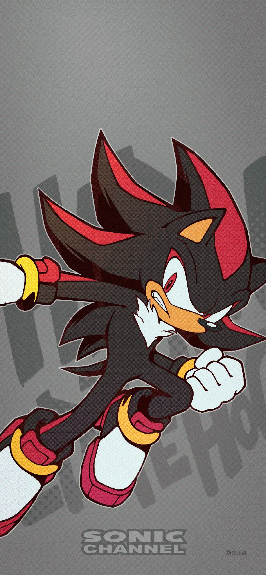 Sonic 3 and Shadow Movie