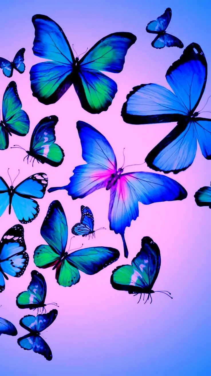 Cute Fantasy Butterfly Background for iPhone