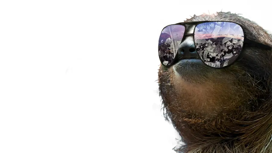 Sloth Wallpaper on White and Light Background