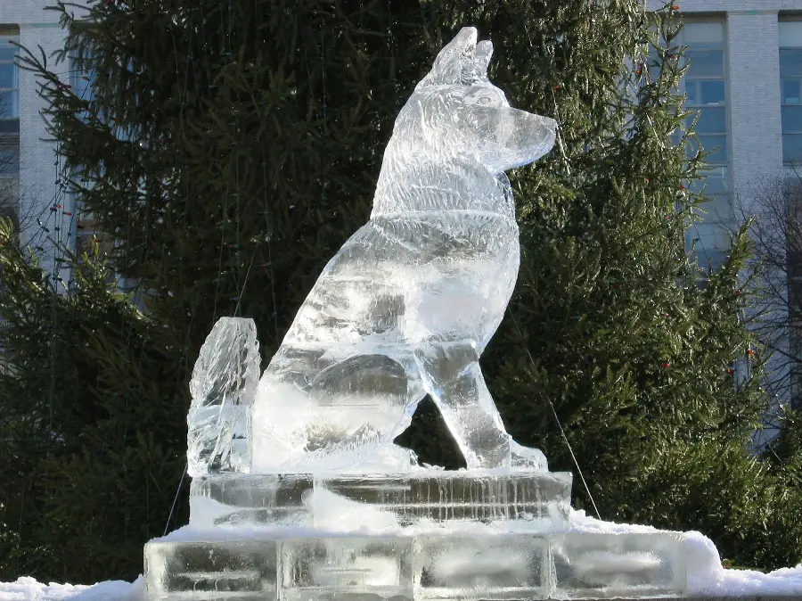 Beautiful Ice Sculpture Images for Art Projects