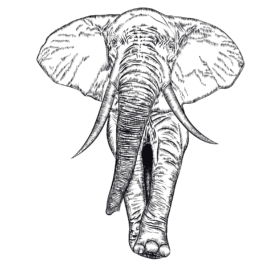Cartoon Elephant Cut Out for Graphic Works