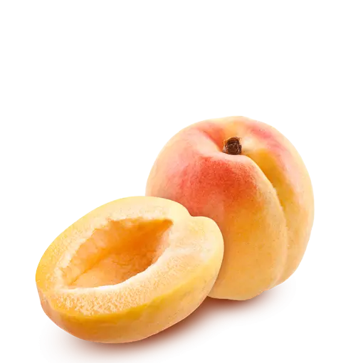 High Quality Apricot PNG Images for Graphic Design