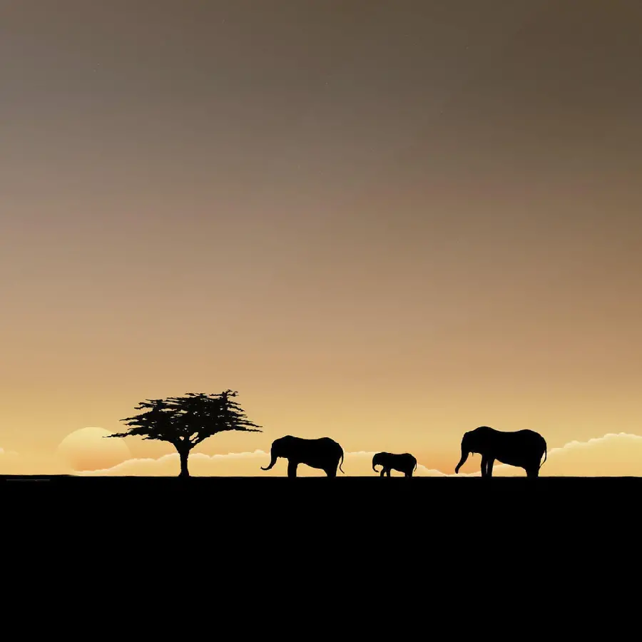 Download wallpapers and mobile backgrounds for nature lovers 