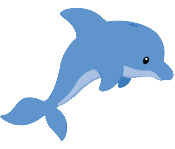 Dolphin PNG Photo
